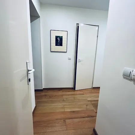 타트라 4 스튜디오